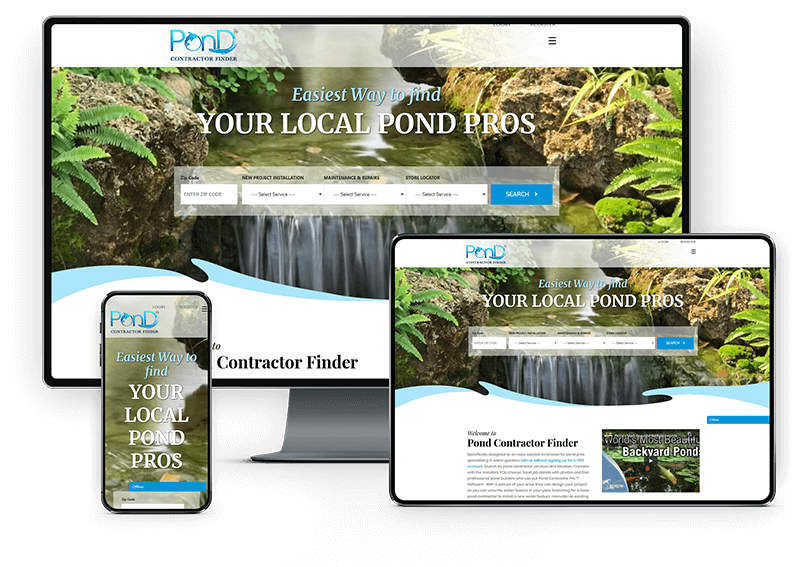 Search Marketing Experts