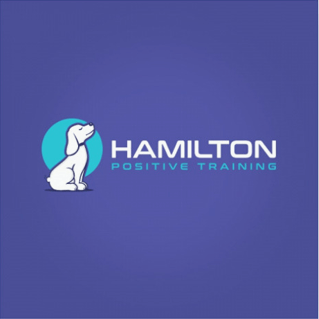 Search Marketing Experts
